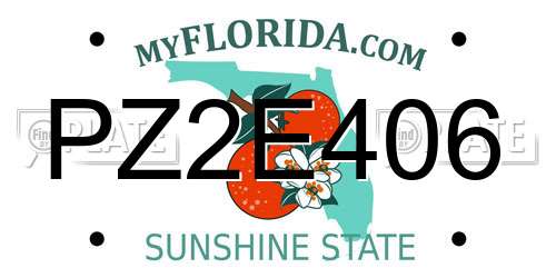 PZ2E406 Florida License Plate