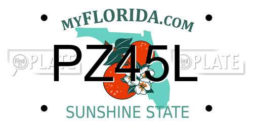 PZ45L Florida License Plate
