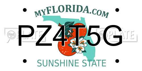 PZ4T5G Florida License Plate