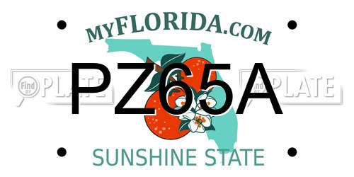 PZ65A Florida License Plate