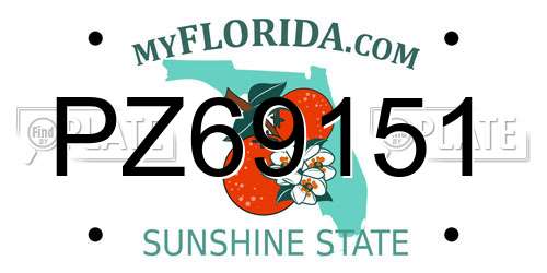 PZ69151 Florida License Plate