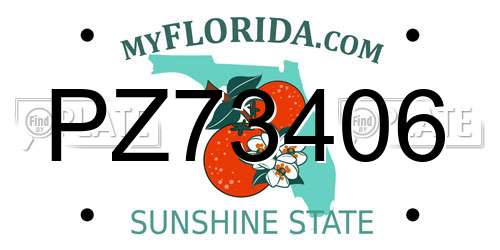 PZ73406 Florida License Plate