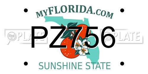 PZ756 Florida License Plate
