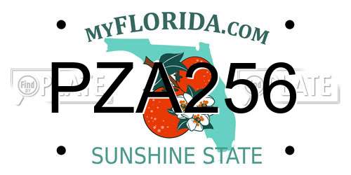 PZA256 Florida License Plate