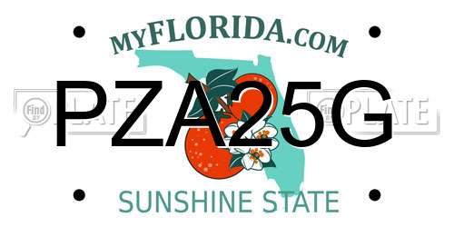 PZA25G Florida License Plate