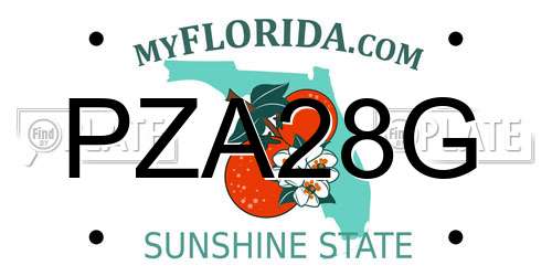 PZA28G Florida License Plate