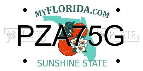 PZA75G Florida License Plate