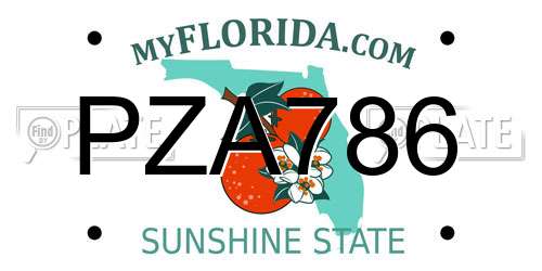 PZA786 Florida License Plate