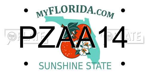 PZAA14 Florida License Plate