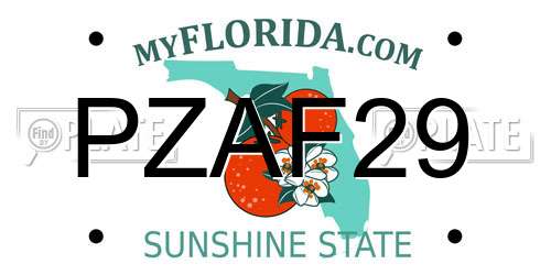 PZAF29 Florida License Plate