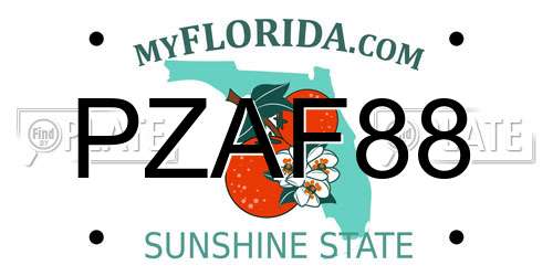 PZAF88 Florida License Plate