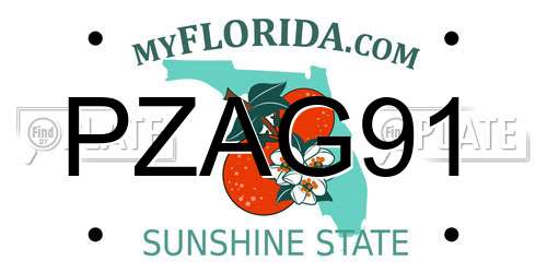 PZAG91 Florida License Plate