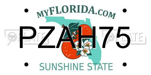 PZAH75 Florida License Plate