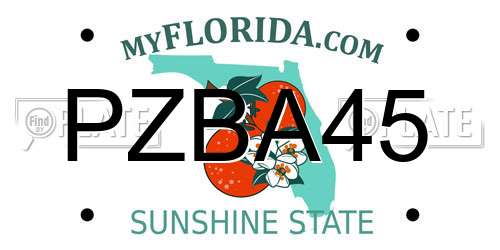 PZBA45 Florida License Plate