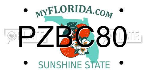 PZBC80 Florida License Plate