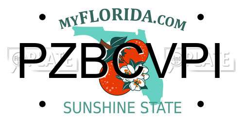 PZBCVPI Florida License Plate