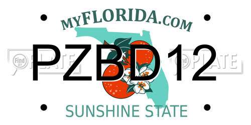PZBD12 Florida License Plate