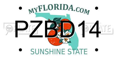 PZBD14 Florida License Plate