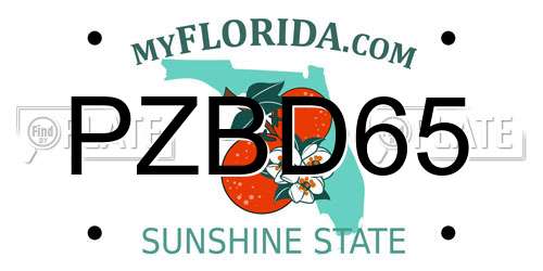 PZBD65 Florida License Plate