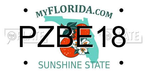 PZBE18 Florida License Plate
