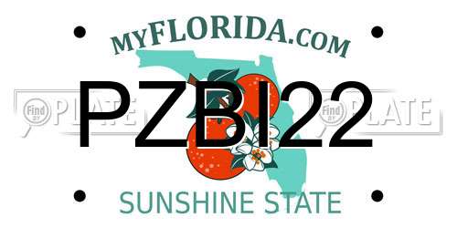 PZBI22 Florida License Plate
