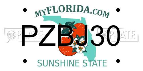 PZBJ30 Florida License Plate