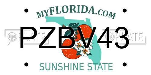 PZBV43 Florida License Plate
