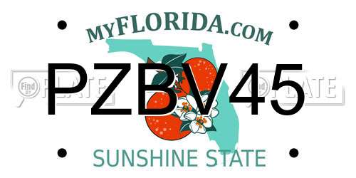 PZBV45 Florida License Plate