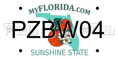 PZBW04 Florida License Plate