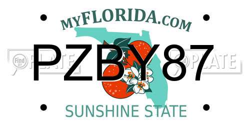 PZBY87 Florida License Plate