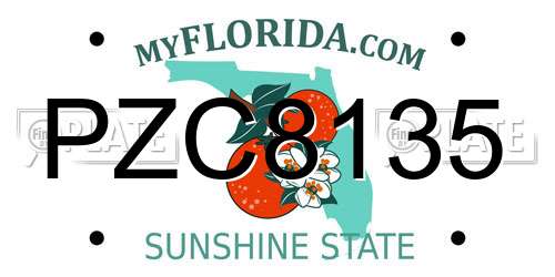 PZC8135 Florida License Plate