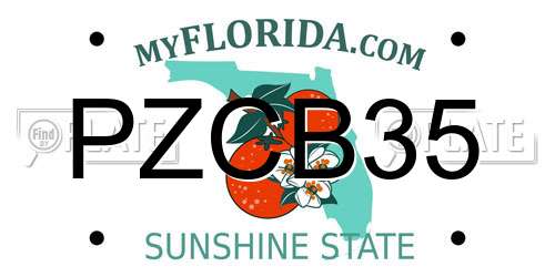 PZCB35 Florida License Plate