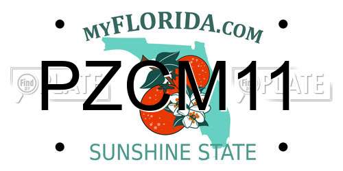PZCM11 Florida License Plate