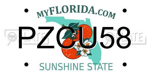 PZCU58 Florida License Plate
