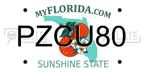 PZCU80 Florida License Plate