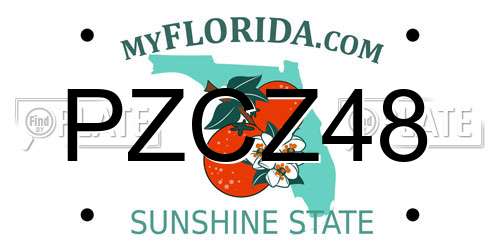 PZCZ48 Florida License Plate