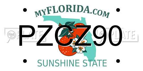 PZCZ90 Florida License Plate