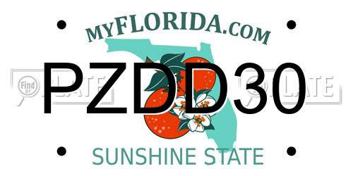 PZDD30 Florida License Plate