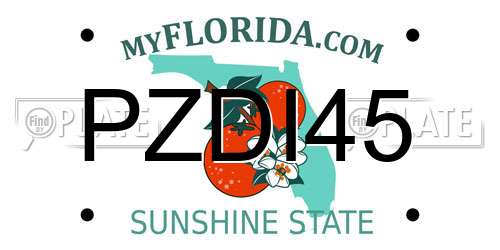 PZDI45 Florida License Plate