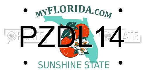 PZDL14 Florida License Plate