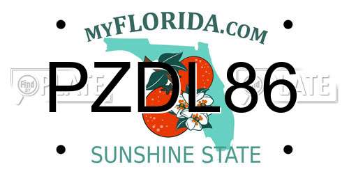 PZDL86 Florida License Plate