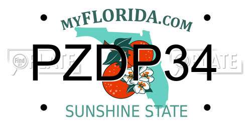 PZDP34 Florida License Plate