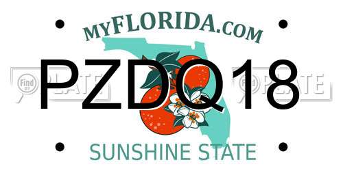 PZDQ18 Florida License Plate