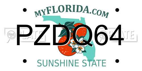 PZDQ64 Florida License Plate
