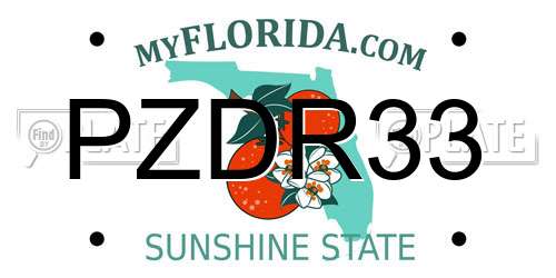 PZDR33 Florida License Plate