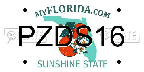 PZDS16 Florida License Plate