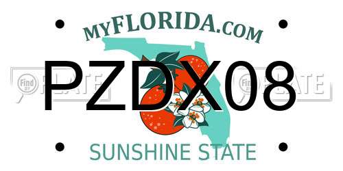 PZDX08 Florida License Plate