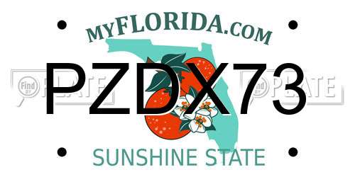 PZDX73 Florida License Plate