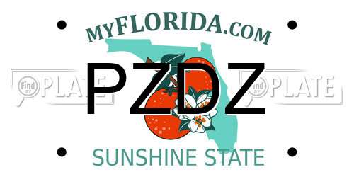 PZDZ Florida License Plate