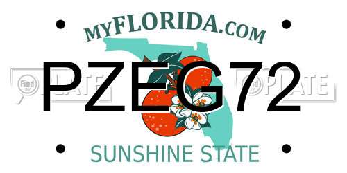 PZEG72 Florida License Plate